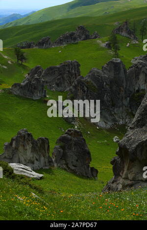 Il paesaggio di granito "Forest" sui pascoli di Burqin county, prefettura degli Altai, a nord-ovest della Cina di Xinjiang Uygur Regione autonoma, 26 giugno 2 Foto Stock