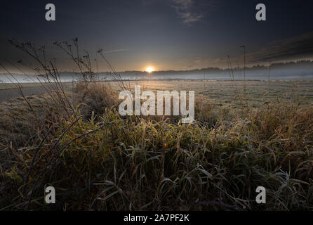 Picchi di sole attraverso gli alberi su una fredda mattina di novembre Foto Stock