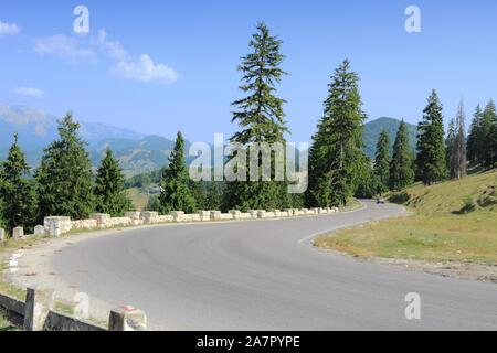 Strada di Montagna in Piatra Craiului montagne della Romania. Foto Stock