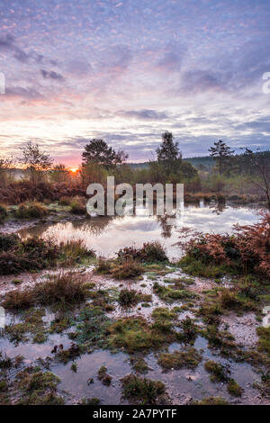 Tramonto su uno stagno sulla brughiera gestito in Monmouthshire, Galles del Sud. Foto Stock