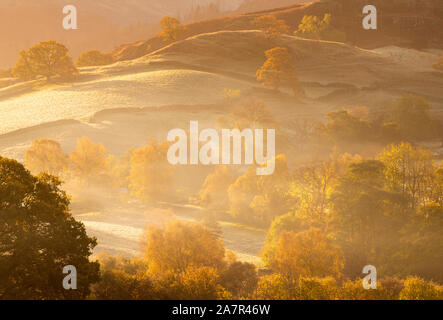 Misty golden autumn mattina vicino a Keswick nel distretto del lago, Cumbria Inghilterra REGNO UNITO Foto Stock