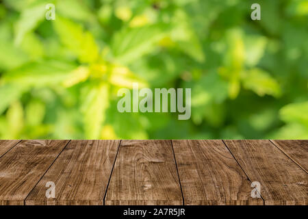 Natura verde blur con tavolo in legno sfondo per prodotti naturali modello montage Foto Stock