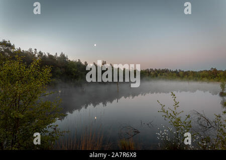 Mattina di nebbia al di sopra del lago di riflessione Lueneburger Heide Foto Stock