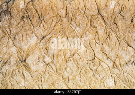 Le filigrane sulla spiaggia di sabbia con colori dorati Foto Stock
