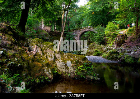 Tollymore Forest Park Bryansford in Irlanda del Nord Foto Stock