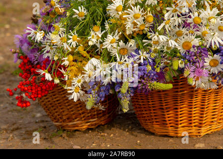 Due canestri di vimini sulla strada piena di wild fiori luminosi e Rowan ripe rosso Foto Stock