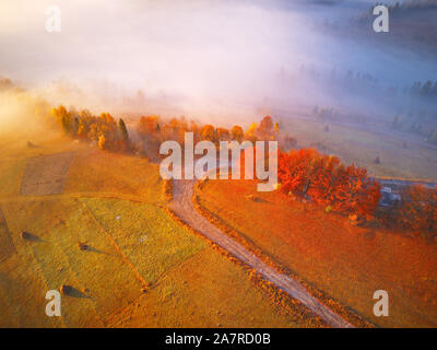 Antenna vista superiore della foresta di autunno e la nebbia. Drone vista delle cime di alberi di arancio in autunno foresta in mattinata nebbiosa. Ripresa dall'alto. Sunrise colorati, Fal Foto Stock