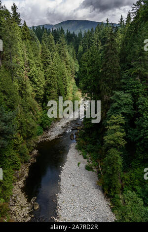 Il Capilano River, Vancouver, Canada, in esecuzione attraverso un lussureggiante valle boscosa, con le montagne sullo sfondo. La giornata è nuvolosa. Foto Stock