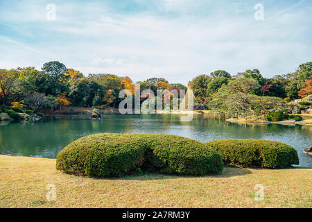 Giardini Rikugien in autunno a Tokyo in Giappone Foto Stock