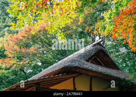 Giardini Rikugien in autunno a Tokyo in Giappone Foto Stock