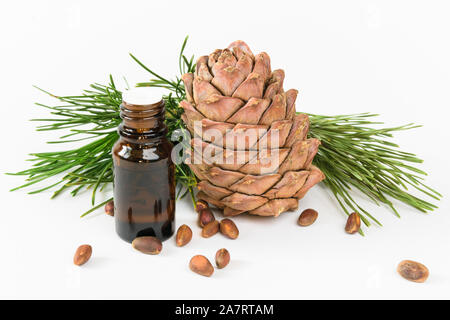 Isolare, la composizione, la bottiglia di vetro con olio, Pigna, dadi e cedro ramo su sfondo bianco Foto Stock