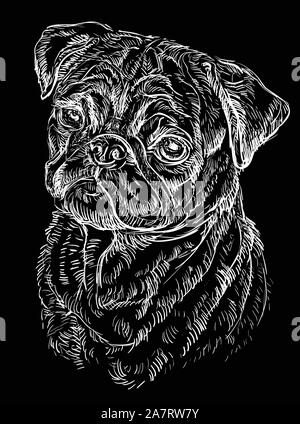 Pug vettore di disegno a mano illustrazione in colore bianco isolato su sfondo nero Illustrazione Vettoriale