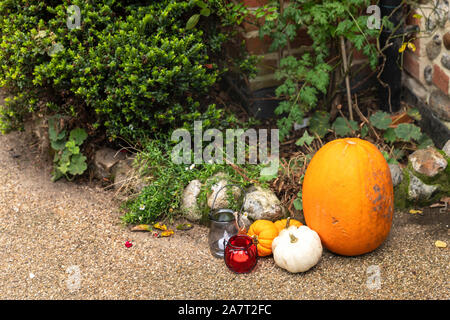 Zucche Foto Stock