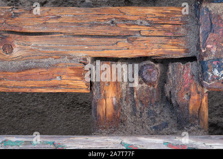 Close up di legno marcescente su un antico naufragio al punto di Corvo in North Devon, Regno Unito Foto Stock