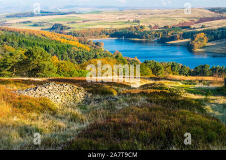 Serbatoio Errwood trovanella Goyt Valley, vicino a Buxton, nel Parco Nazionale di Peak District. Foto Stock