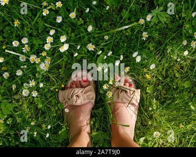 Donna in piedi l'erba con margherite Foto Stock