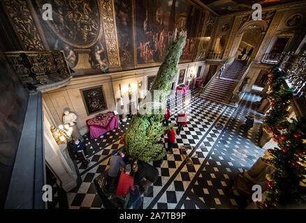 Un alberi di Natale è installato come, quattordici alberi di Natale, fino a 24 piedi di altezza, arrivano a Chatsworth House, vicino a Bakewell, Derbyshire, per impostazione intorno alla maestosa casa prima della stagione di Natale apertura al pubblico sabato. Foto Stock