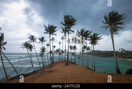 Il cielo nuvoloso al Coconut Hill si trova a Mirissa, Sri Lanka. Albero di cocco Hill si trova alla fine della spiaggia, è famosa per i viaggi blogger