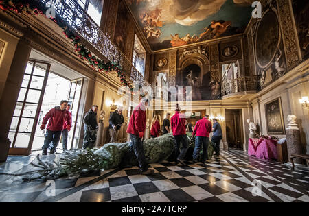 Un alberi di Natale è installato come, quattordici alberi di Natale, fino a 24 piedi di altezza, arrivano a Chatsworth House, vicino a Bakewell, Derbyshire, per impostazione intorno alla maestosa casa prima della stagione di Natale apertura al pubblico sabato. Foto Stock