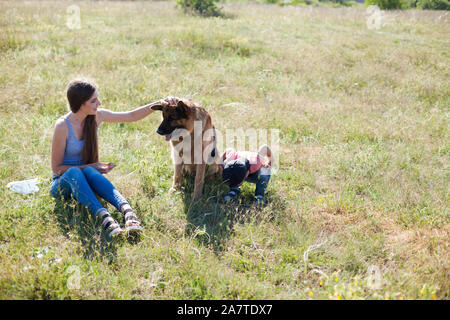 Bella donna gioca con il tedesco il cane pastore a piedi Foto Stock