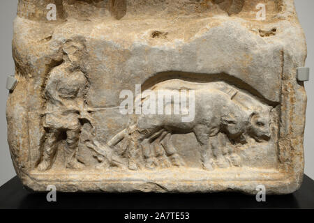 Marmo scolpito Bas-Relief di aratura, aratura o allevamento scena sulla stele romana da c1AD, Museo Romano Nimes Foto Stock