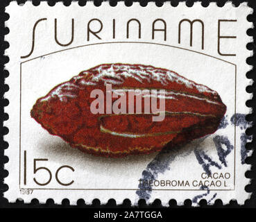 Pod di cacao sul francobollo del Suriname Foto Stock