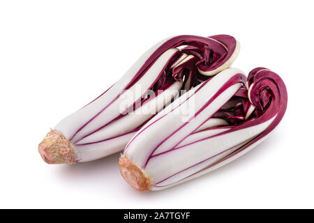 Radicchio Rosso radicchio di Treviso isolato su bianco Foto Stock