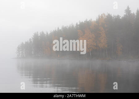 Il lago di scape e nebbioso sponda opposta foresta all'alba Foto Stock