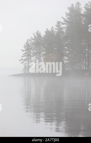 Il lago di scape e nebbioso sponda opposta foresta all'alba Foto Stock