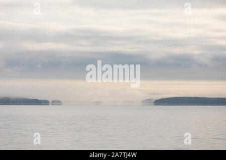 Il lago di scape e nebbioso sponda opposta foresta all'alba Foto Stock