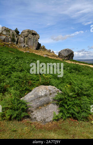 Scenic paesaggio rurale di estate sole sul alto sperone roccioso, bracken & blue sky - latte di mucca e di rocce di vitello, Ilkley Moor, West Yorkshire, Inghilterra, Regno Unito. Foto Stock