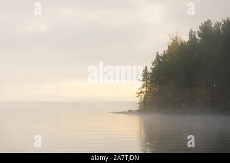 Il lago di scape e nebbioso sponda opposta foresta all'alba Foto Stock