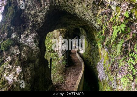Levada da Ribeiro Frio a Portela, irrigazione sull' isola di Madeira, Portogallo Foto Stock
