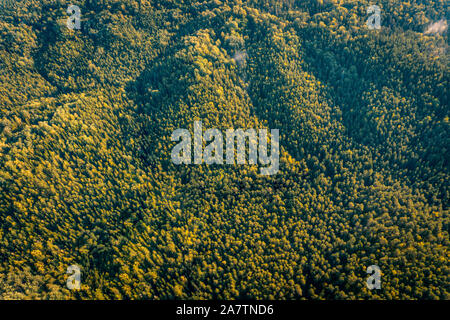 Calda estate tarda mattina antenna vista superiore di colline coperte da massiccio forestale in Europa settentrionale del parco nazionale. Texture della foresta isolata vista da abo Foto Stock