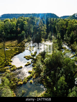 Colorate e calde fine alba sul bagnato area di palude. Vista del paesaggio vicino a Sigulda Lettonia a Gaujas Nacionalais parchi. Pound nella parte anteriore e di fitta foresta nel retro Foto Stock