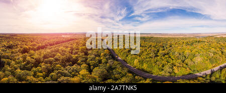 180 gradi scenic paesaggio di campagna in autunno bella giornata di sole. Antenna fuco vista della strada prevista tra la foresta di querce Foto Stock