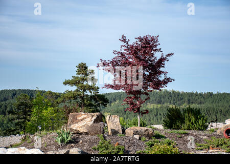 Cantiere paesaggio con la vista delle montagne Ozark Foto Stock