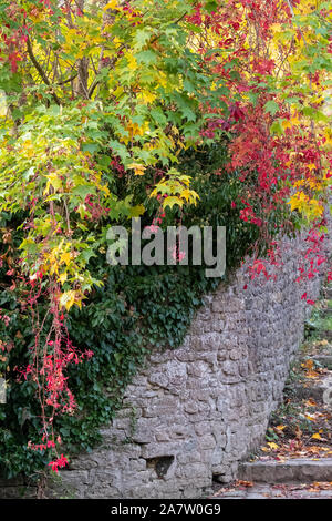 La scalinata in pietra che conduce al fiume Brue vicino Packhorse Bridge in BRUTON, SOMERSET REGNO UNITO, fotografato in autunno con le foglie degli alberi modifica colori Foto Stock