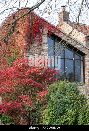 Casa vicino Packhorse Bridge in BRUTON, SOMERSET REGNO UNITO, fotografato in autunno con le foglie in Virginia superriduttore cambiando colore. Foto Stock