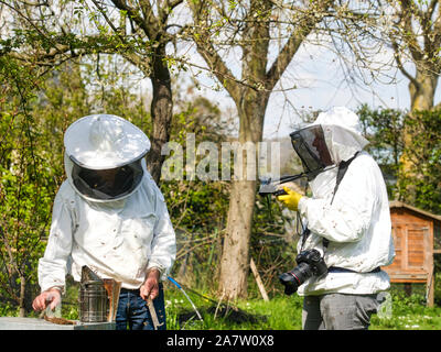 Fotografo a scattare foto di apiarist in giardino, con api battenti intorno all'apicoltore. Autentica scena di vita di apicoltura Foto Stock