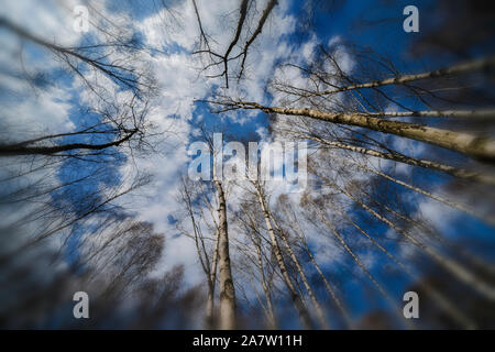 Una sepoltura naturale luogo di sepoltura, Hofgeismar, Weser Uplands, Weserbergland, Hesse, Germania Foto Stock