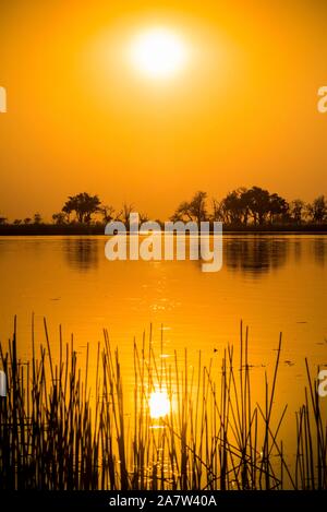 Paesaggio fluviale in Okavango Delta al tramonto, riserva Moremi, Ngamiland, Botswana Foto Stock