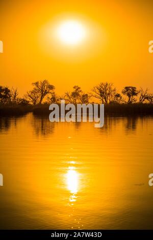 Paesaggio fluviale in Okavango Delta al tramonto, riserva Moremi, Ngamiland, Botswana Foto Stock