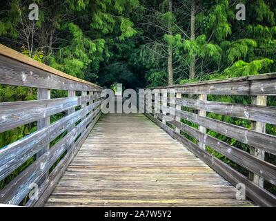 Zone umide wakodahatchee marciapiede elevato in Florida Foto Stock