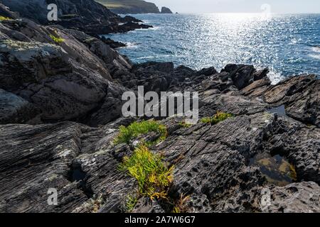 Tipico Rupi costiere nella zona della baia di Dunlough nel sud-ovest dell'Irlanda. Foto Stock