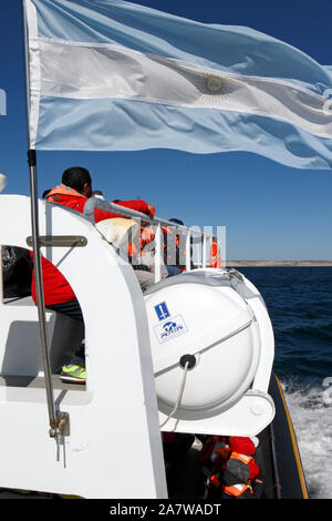 Whale watching barca di proprietà di spirito meridionale, la Penisola Valdes, Chubut provincia, Argentina, Patagonia. Foto Stock