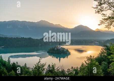 Lago di Bled attraverso la vegetazione in una giornata di sole. Cornice naturale. Foto Stock