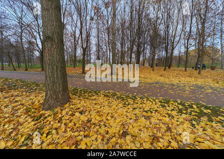 La bellezza di abbondanza di fogliame caduto a Mosca Olonetskiy proyezd Parco in autunno Foto Stock