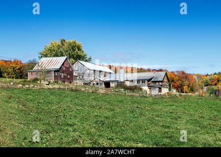 Rustic autumn farm, Stowe, Vermont, USA. Foto Stock
