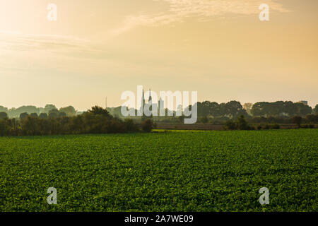 Land van Cuijk, il paesaggio agricolo nel piccolo villaggio Cuijk e sul fiume Meuse, Paesi Bassi sotto un cielo blu. Famoso punto di riferimento turistico fo Foto Stock